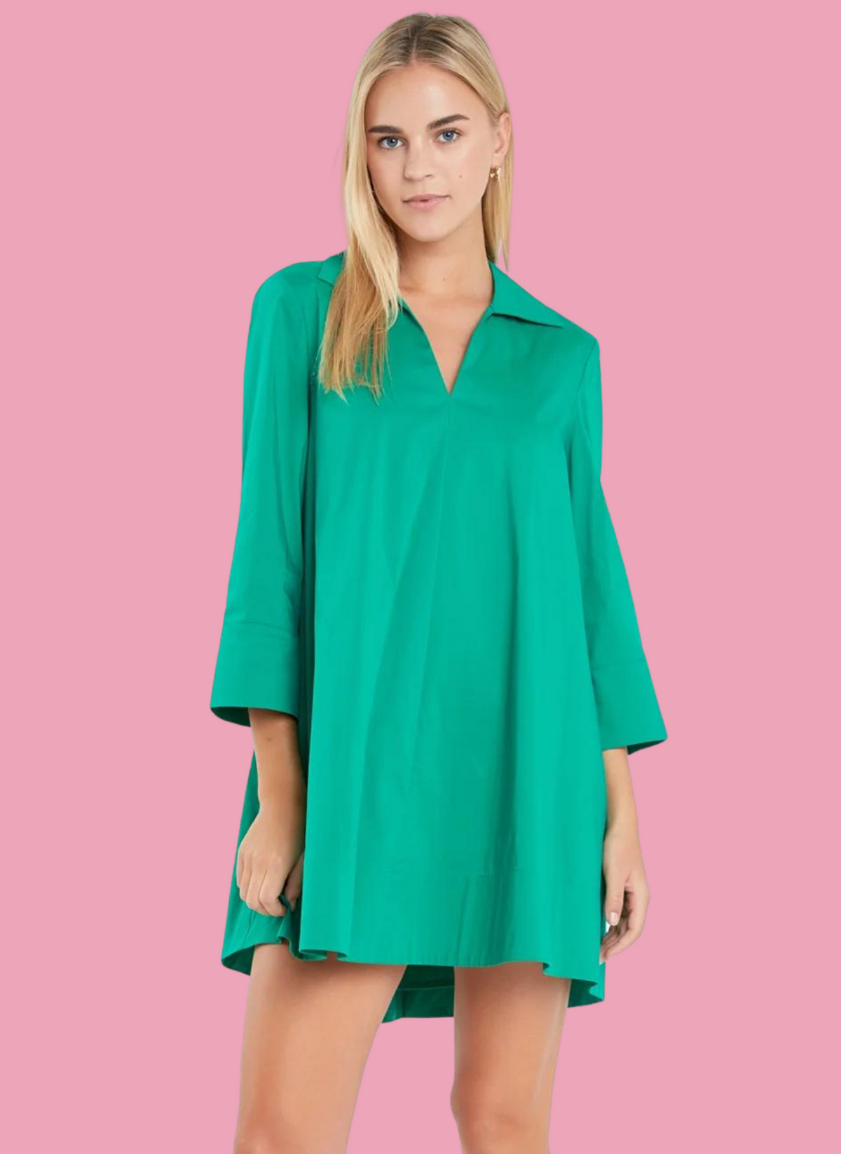 A-Line Pleat Back Shirt Dress