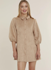 Brynn Faux Suede Dress