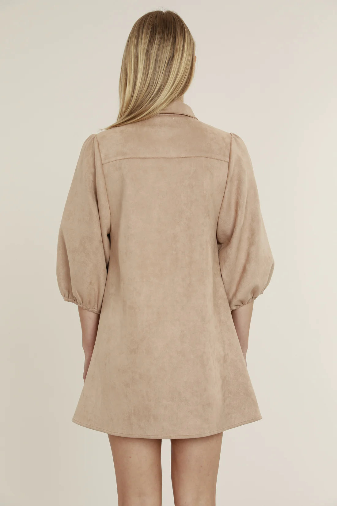 Brynn Faux Suede Dress
