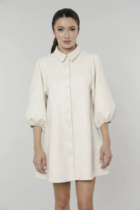 Brynn Faux Suede Dress