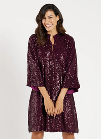 Delia Sequins Dress