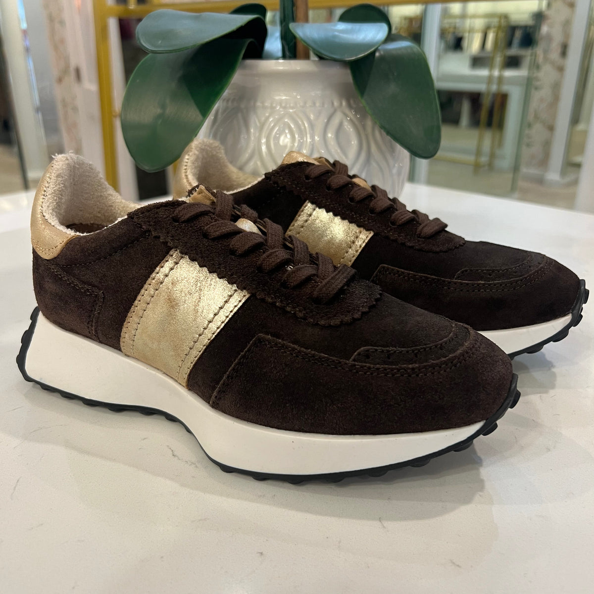 Know It All Sneakers - Dark Brown + Gold