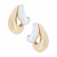 Erin Sculpted Arch Earrings