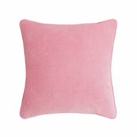 Wake Me When I'm Famous Needlepoint Pillow