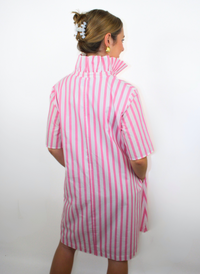 Olivia Ruffle Collar Dress - Pink Stripes