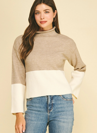 Sammy Color Block Sweater
