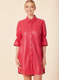 Vegan Leather Ruffle Sleeve Dress