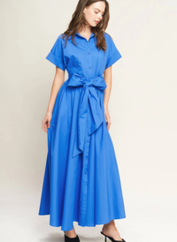 Camille Classic Shirt Dress