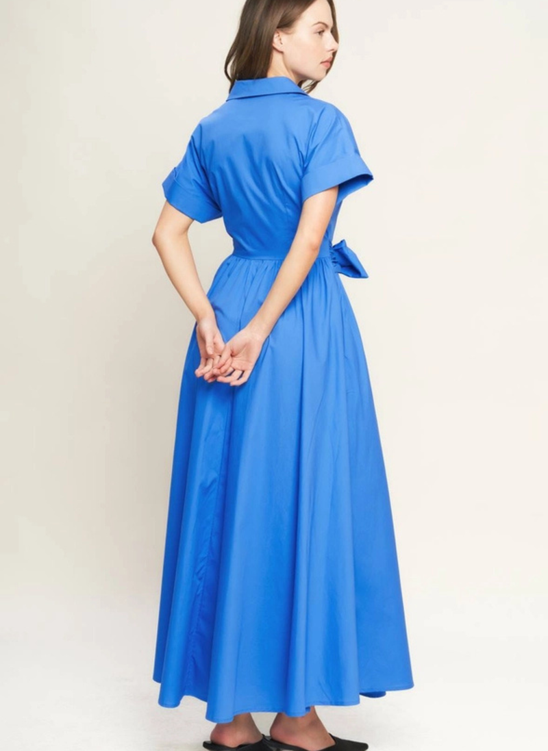 Camille Classic Shirt Dress