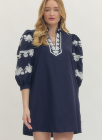 Embroidered Tunic Mini Dress