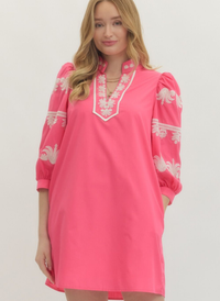Embroidered Tunic Mini Dress