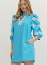 Embroidered Tunic Mini Dress