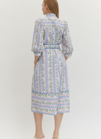 Floral Vine & Stripe Midi Shirt Dress