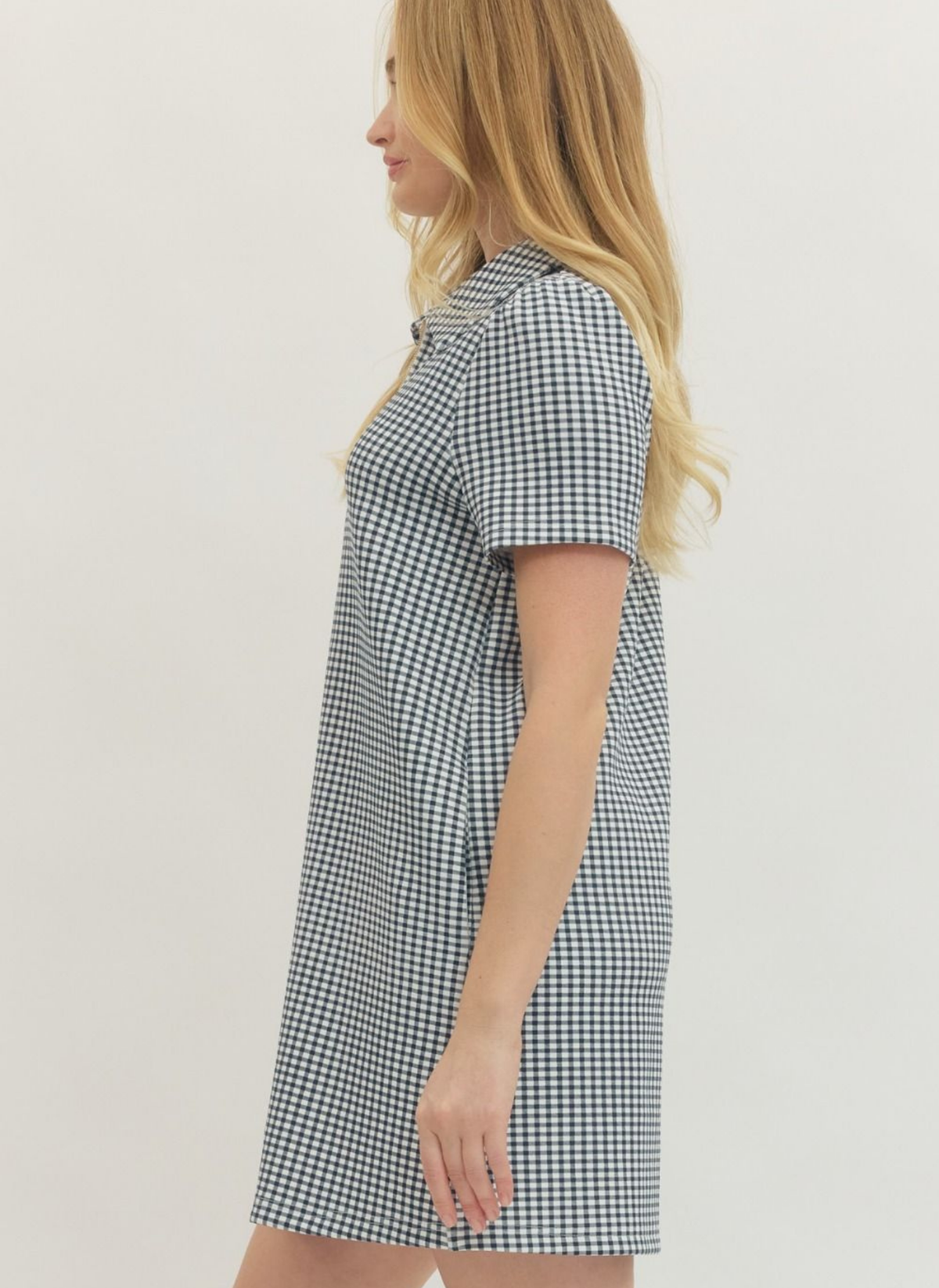 Gingham Zip Dress