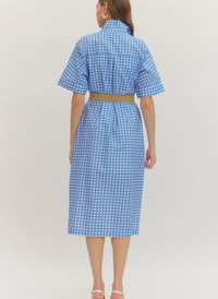 Collins Gingham Midi Dress