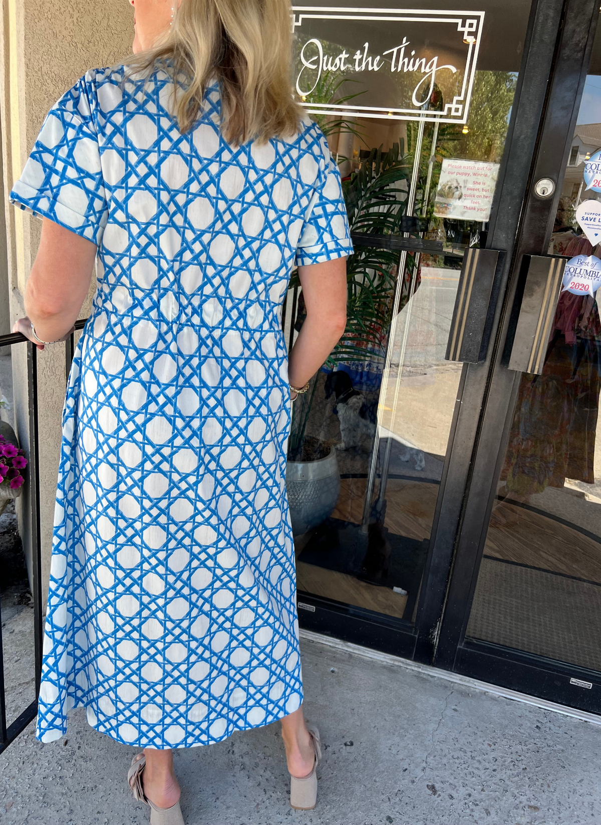 Bria Dress - Coastal Cane Blue