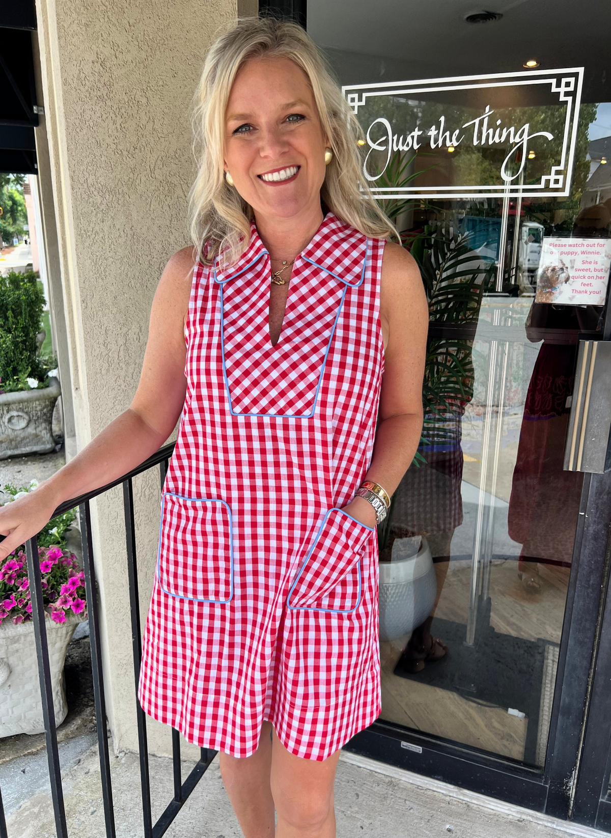 Ginny Gingham Piped Trim Dress