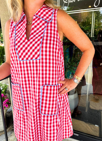 Ginny Gingham Piped Trim Dress