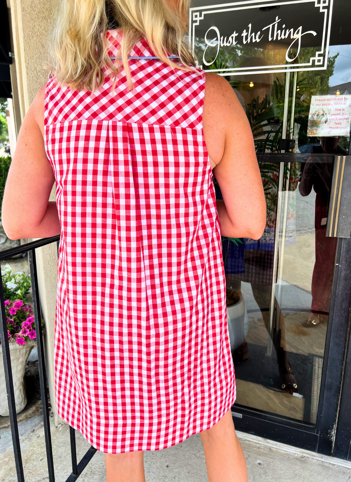 Ginny Gingham Piped Trim Dress