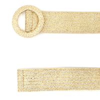 Gold Metallic Elastic Belt