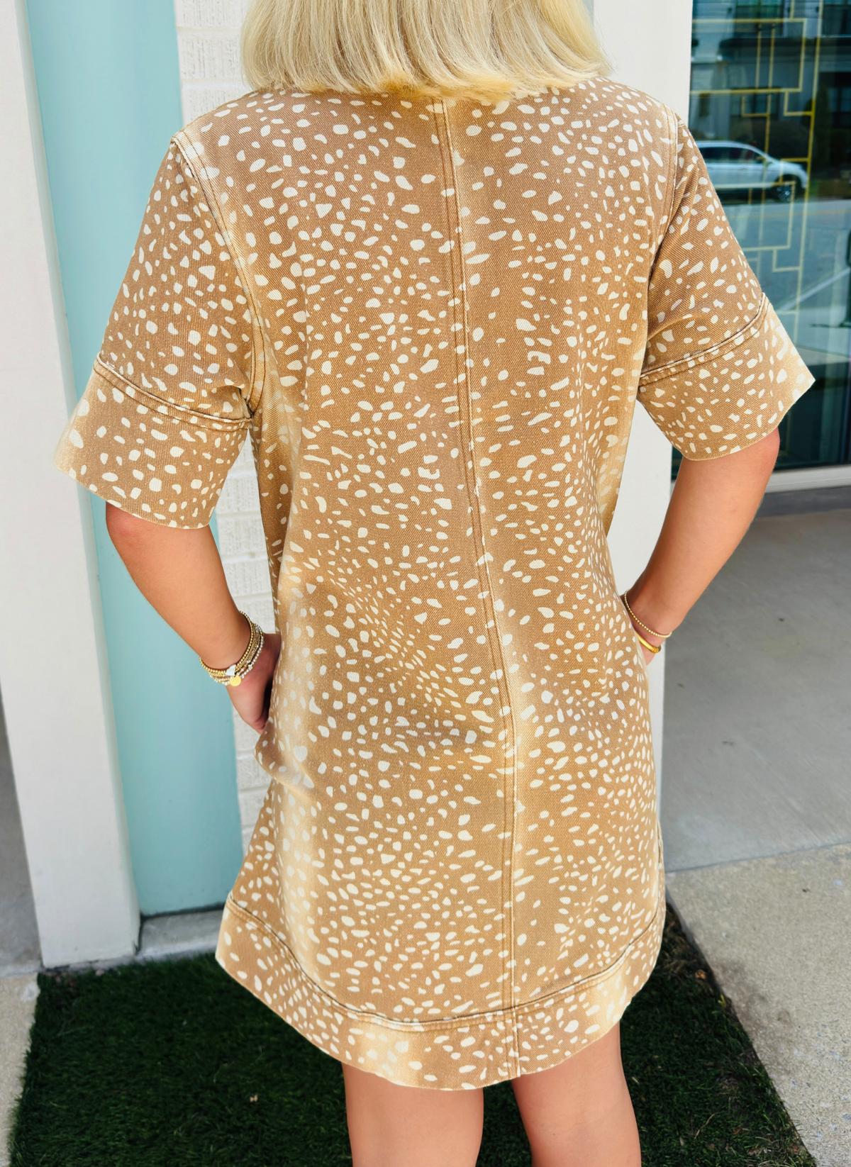 Antelope Denim Dress