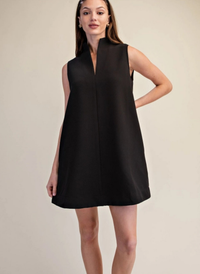 Remi Stand Collar Mini Dress