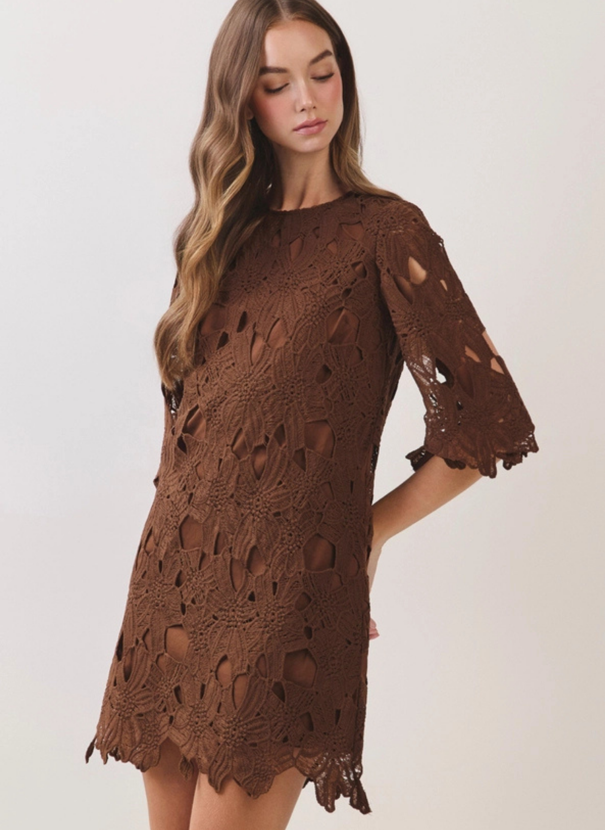 Meadow Lace Dress