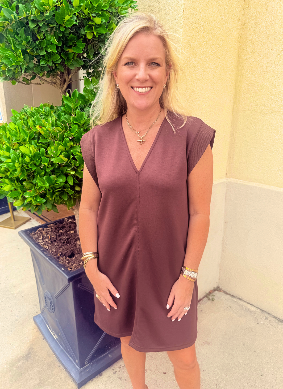 Everyday Essential V-Neck Dress