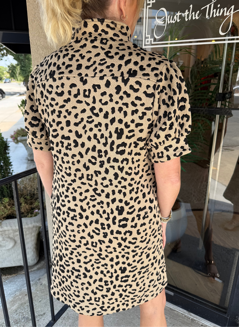 Mandy Zip Dress