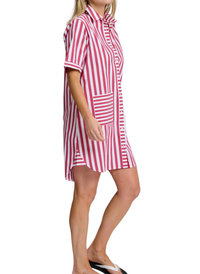 Clara Stripe Dress - Burgundy