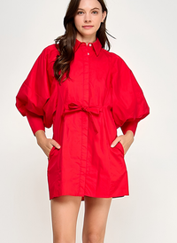 Solid Statement Sleeve Tie Mini Dress