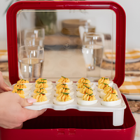 Egg Tray Insert