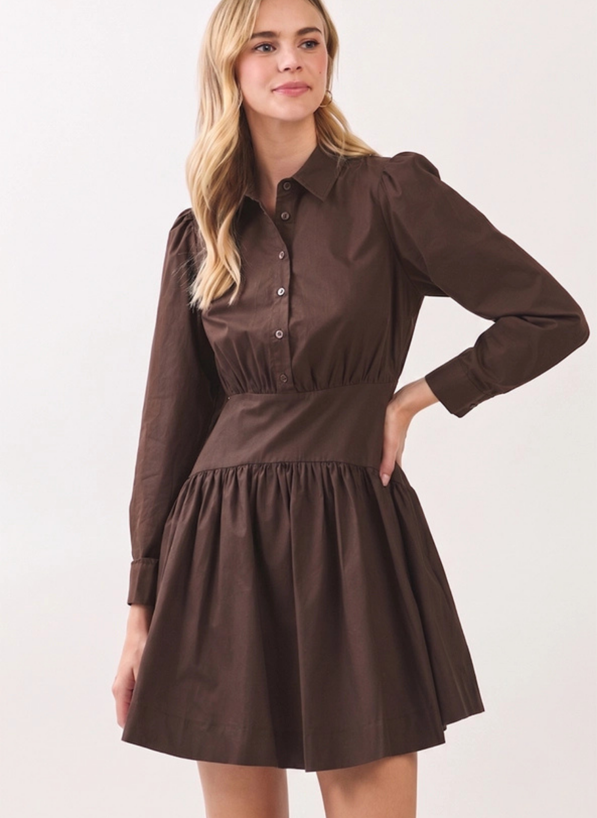 Austin Button Down Mini Dress