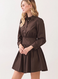 Austin Button Down Mini Dress
