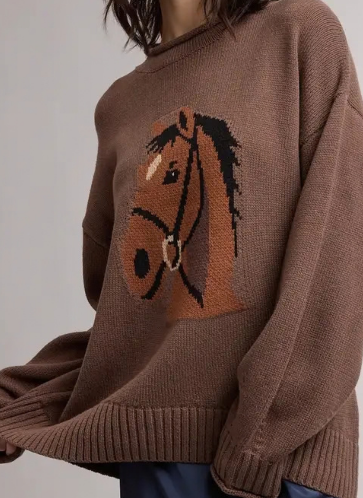 Horse Roll Neck Sweater