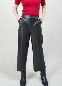 Arden Pleather Pant
