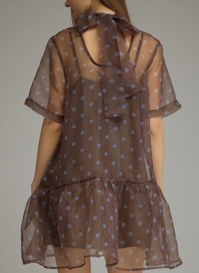 Polka Dot Chiffon Overlay Mini Dress