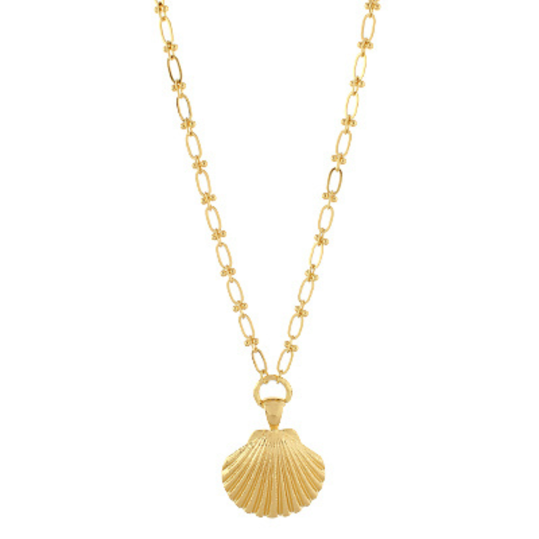 Small Sea Shell Chain Necklace