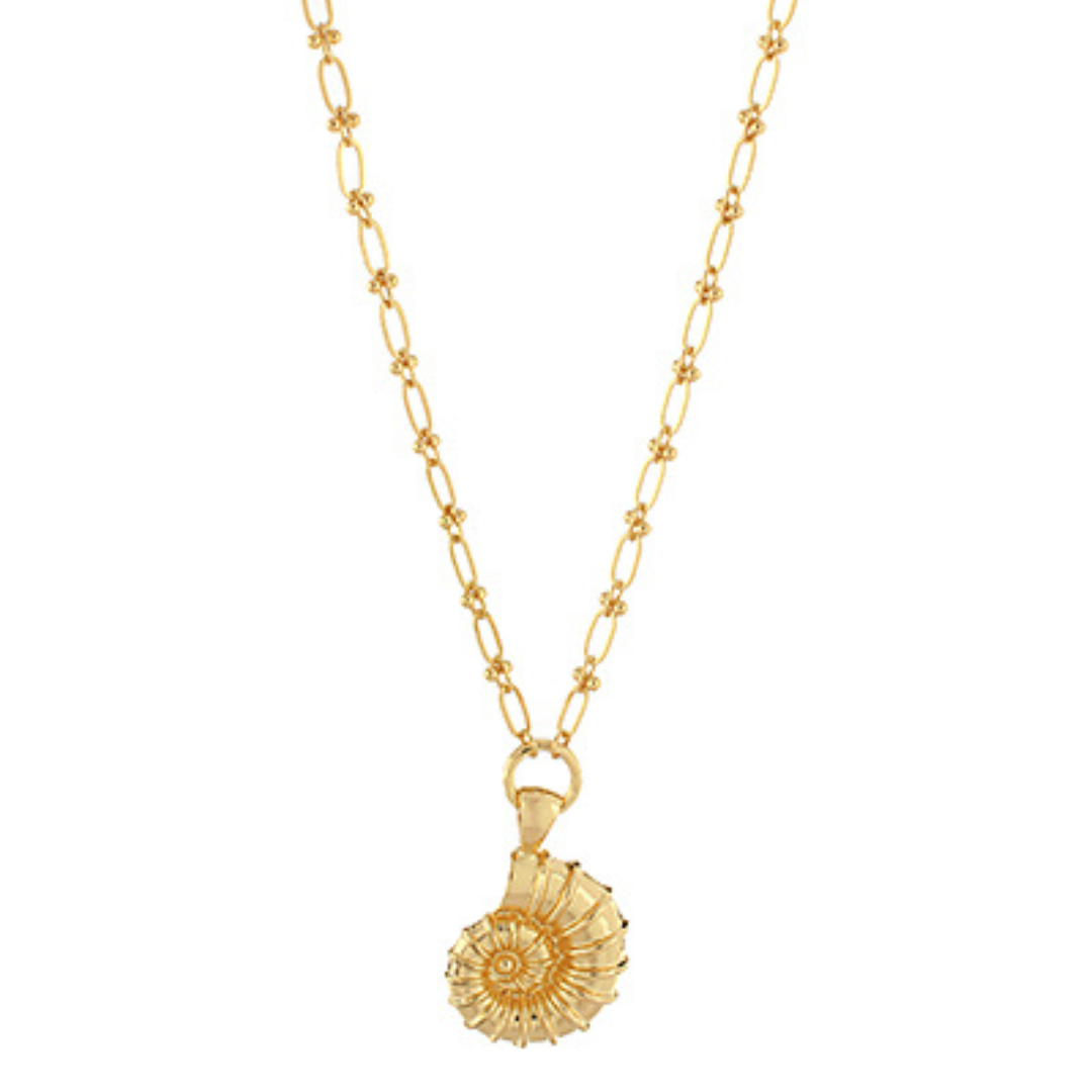Small Ammonite Chain Necklace