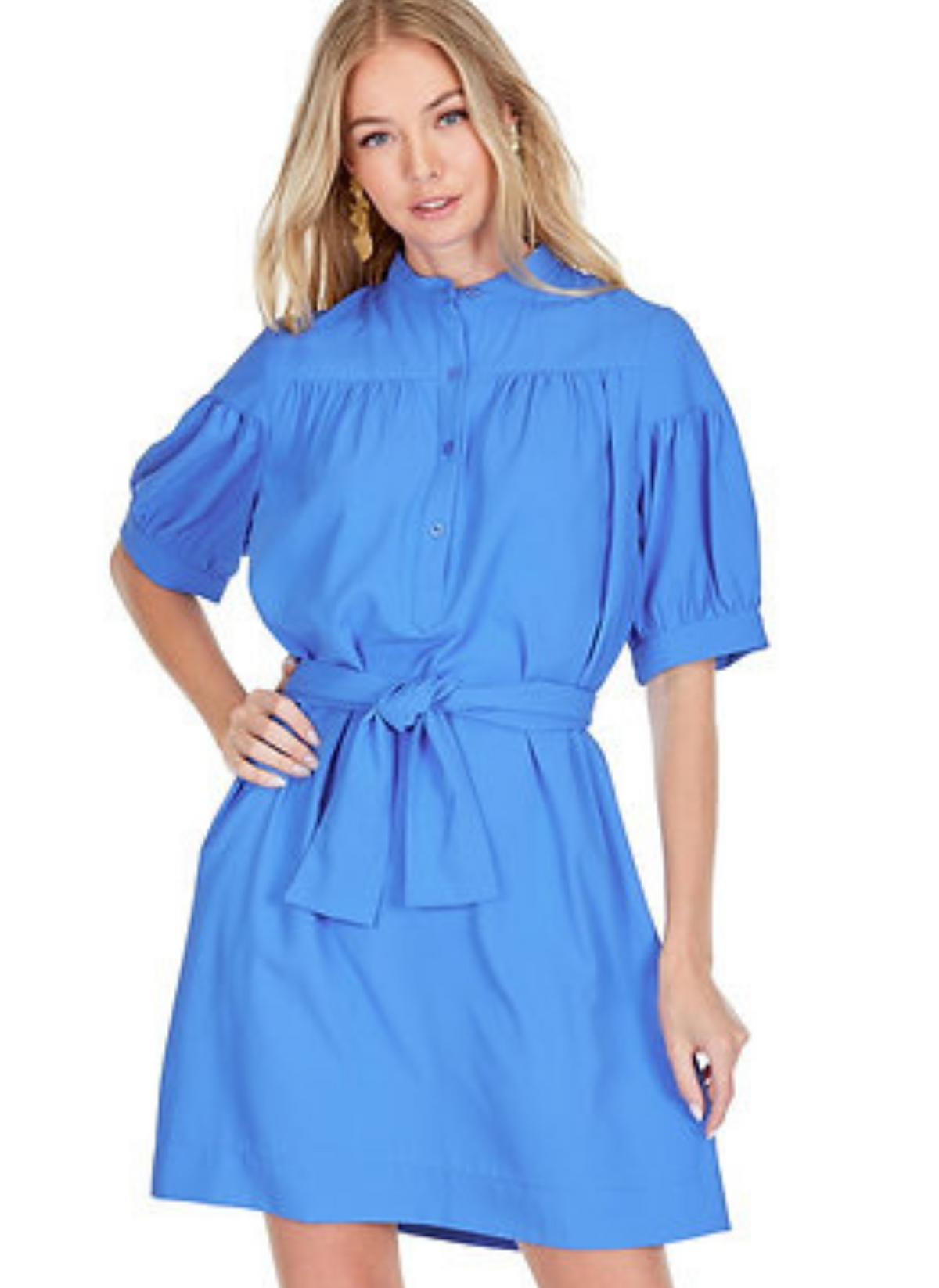 Samantha Balloon Sleeve Dress