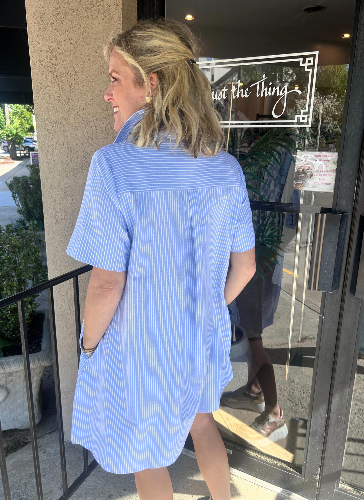 Pauline Pin Stripe Dress