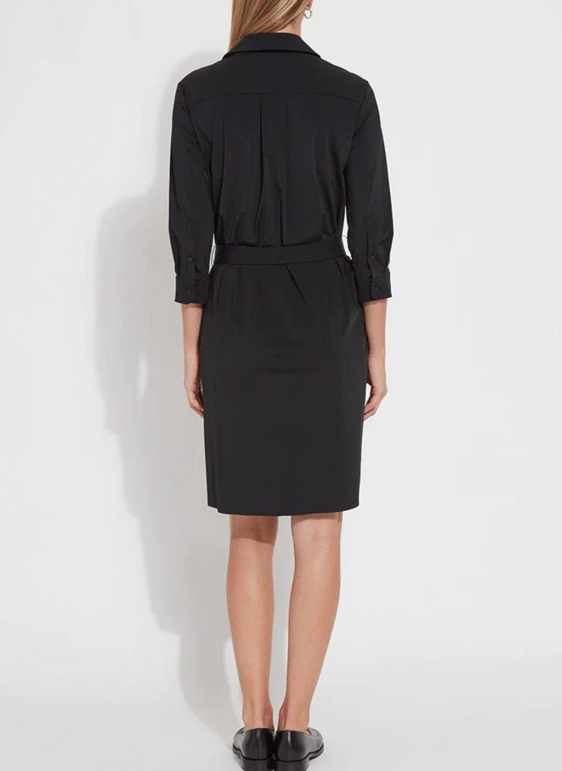 Schiffer Shirt Dress