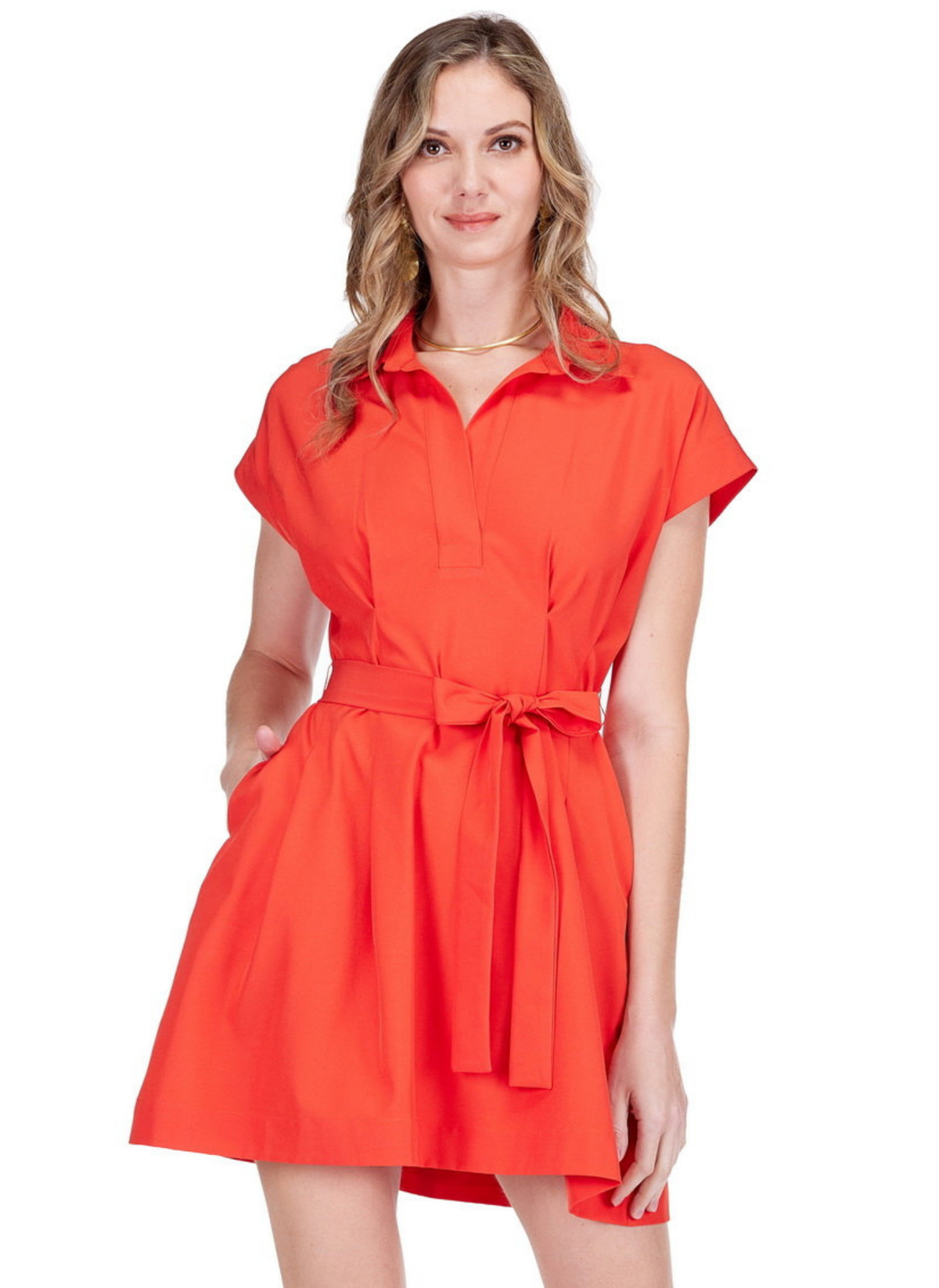 Fit & Darts Dress