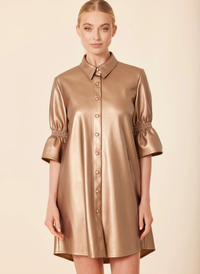 Metallic Vegan Leather Ruffle Sleeve Dress