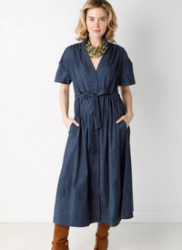 Bria Denim Dress