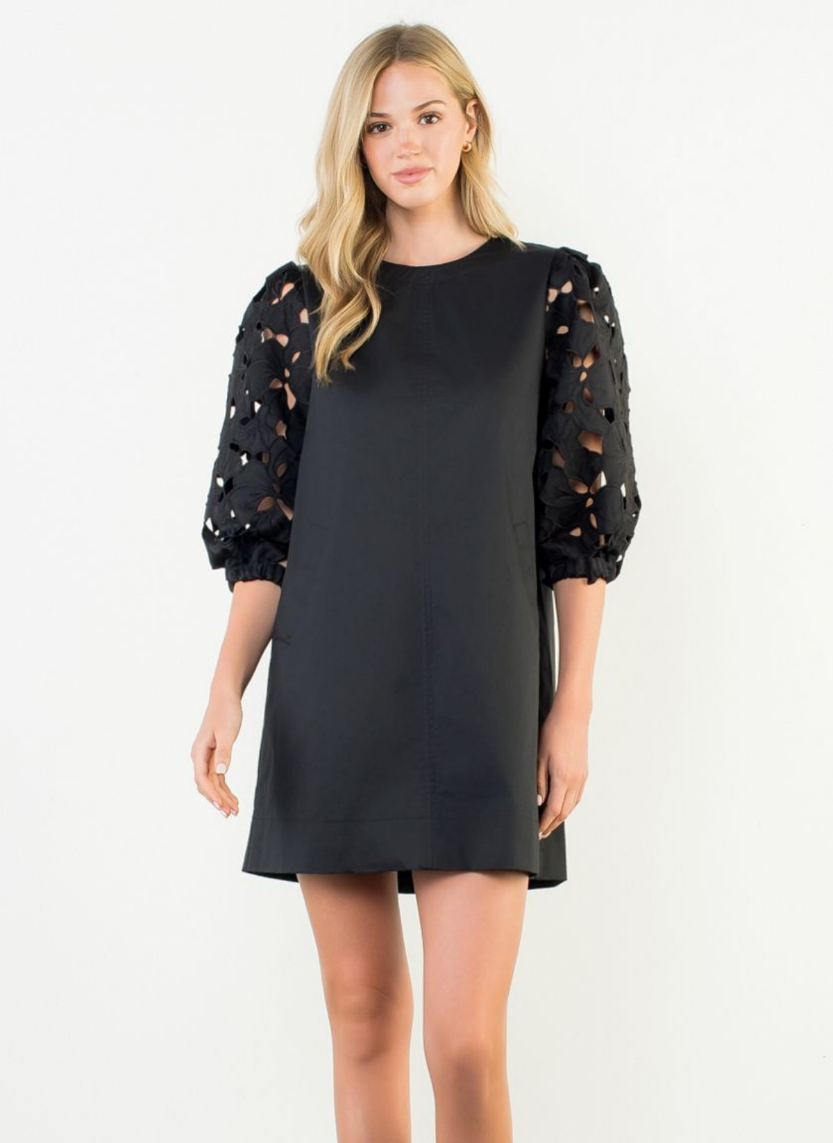 Erin Eyelet Sleeve Dress