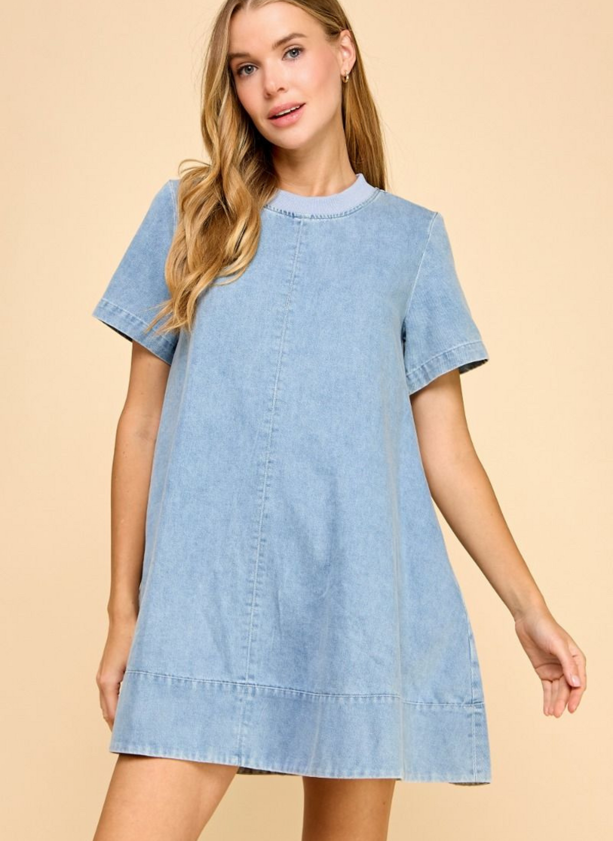 Allison A-Line Denim Dress