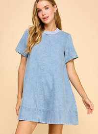 Allison A-Line Denim Dress