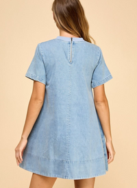 Allison A-Line Denim Dress