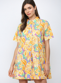 Fruit Print A-Line Dress